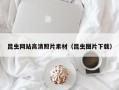 三亚昆虫网站高清照片素材（昆虫图片下载）